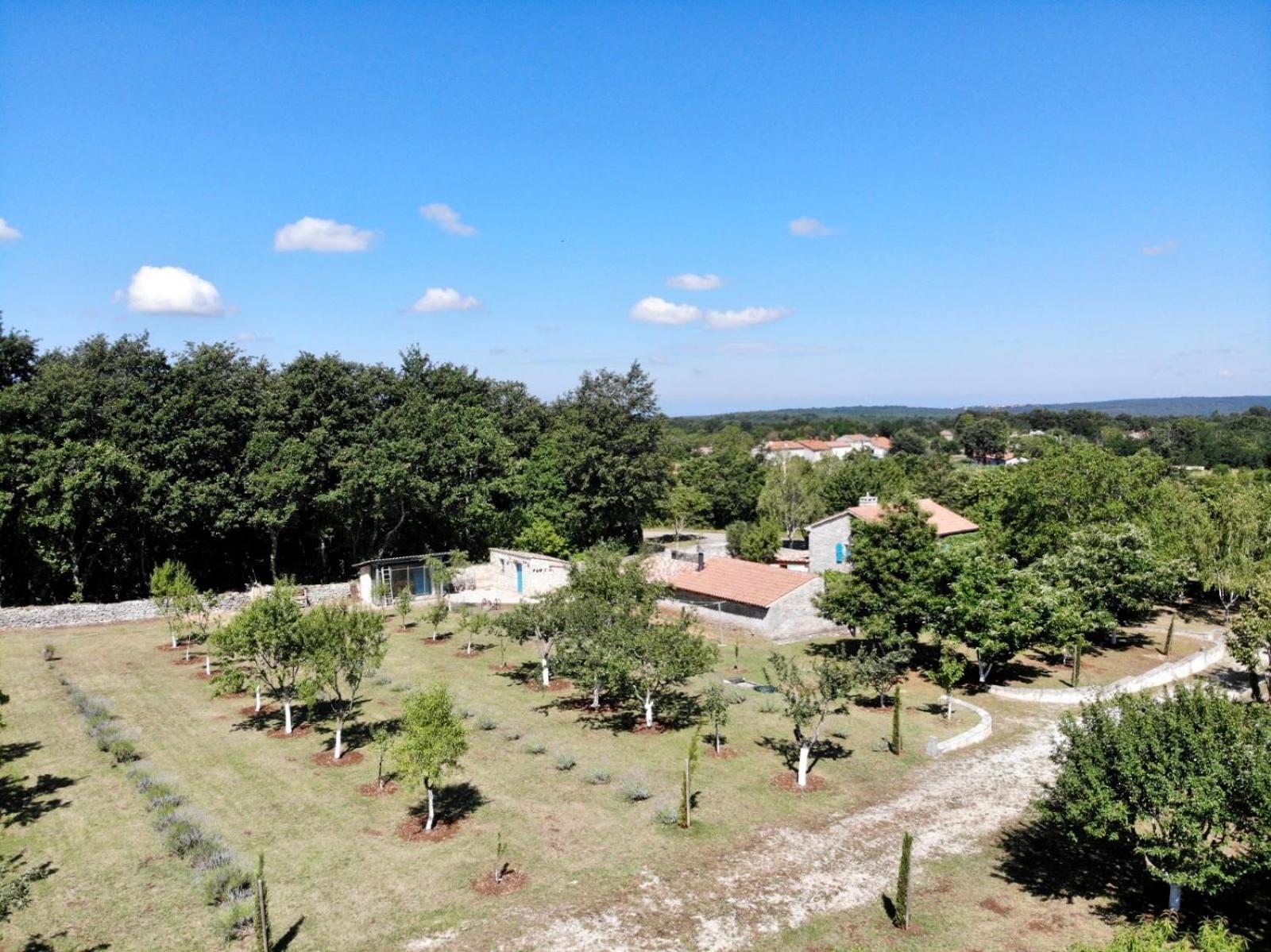 Family-sized renovated Istrian house w/lavand field - 20min from Rovinj. view 2
