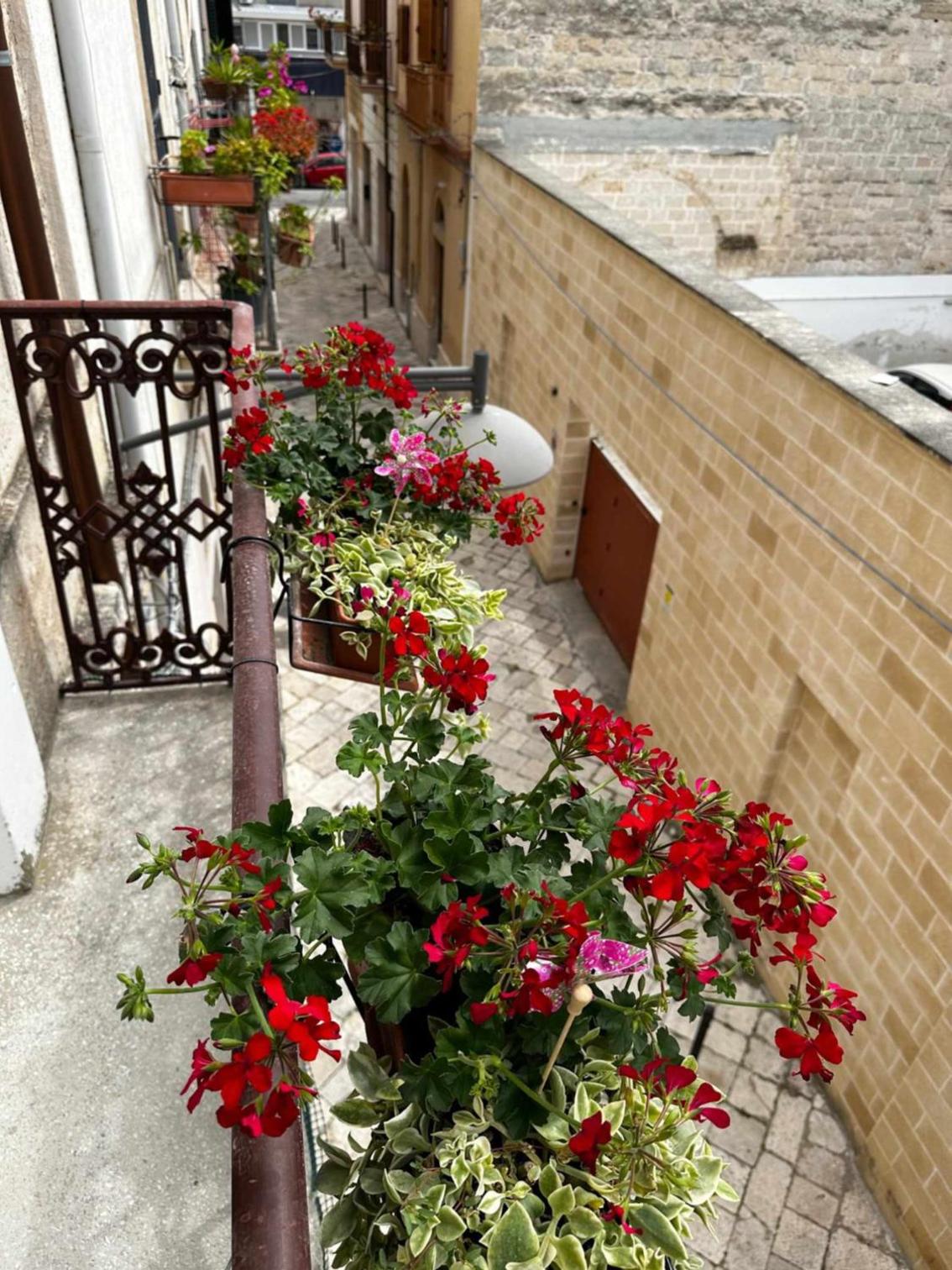 Zephir Suite photo 5