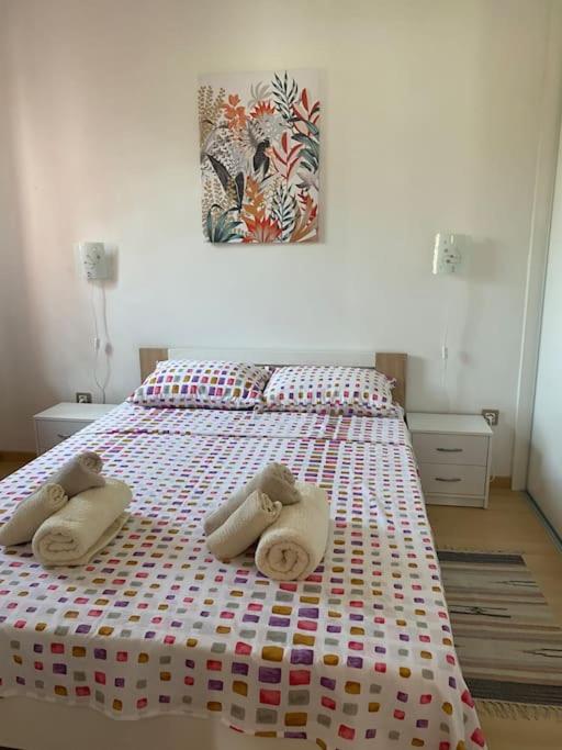 Apartment Leda
