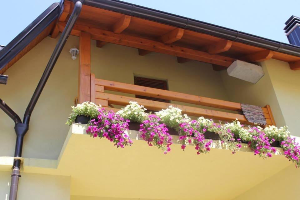 Apartman Maja
