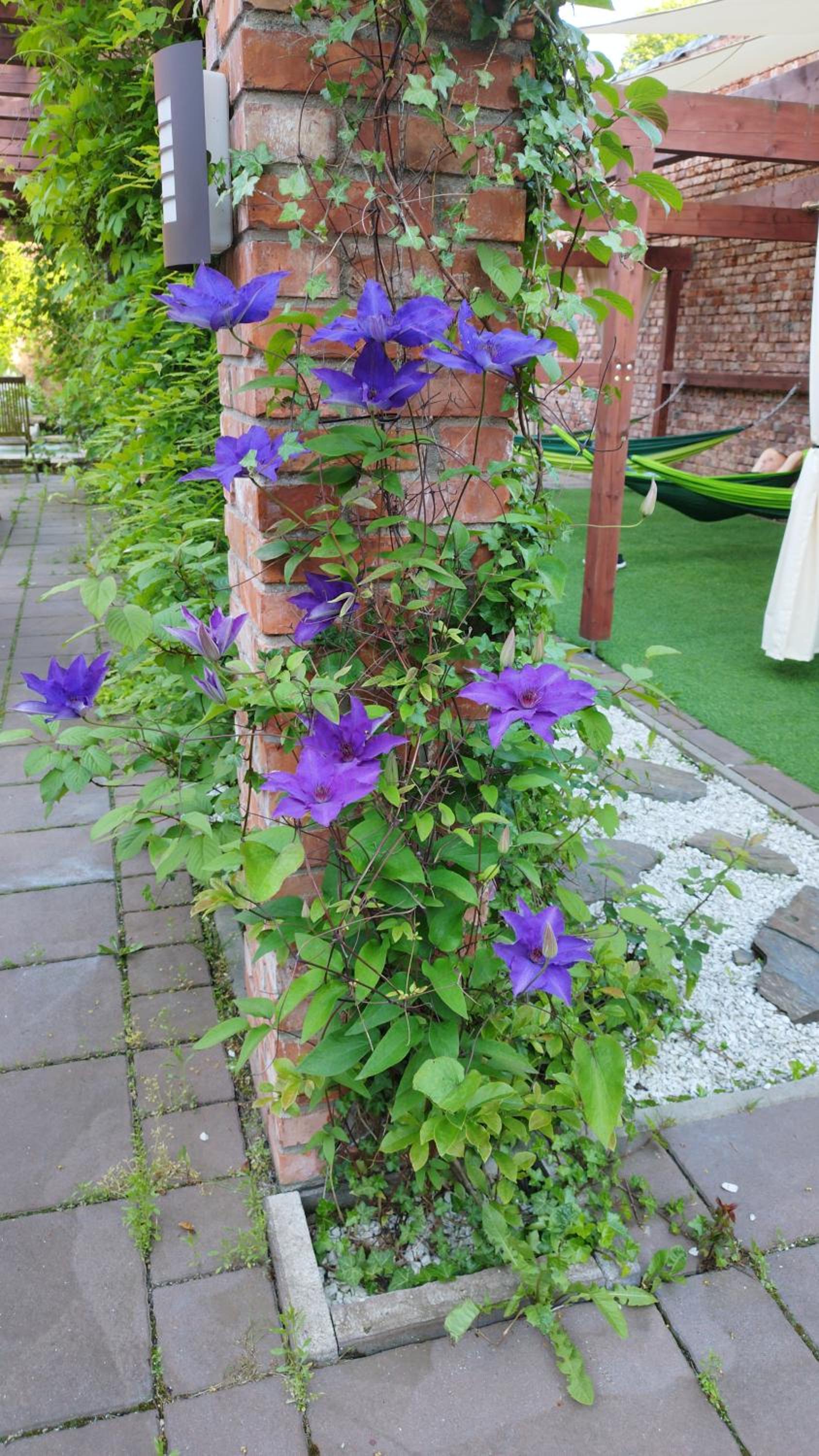 Photo 71