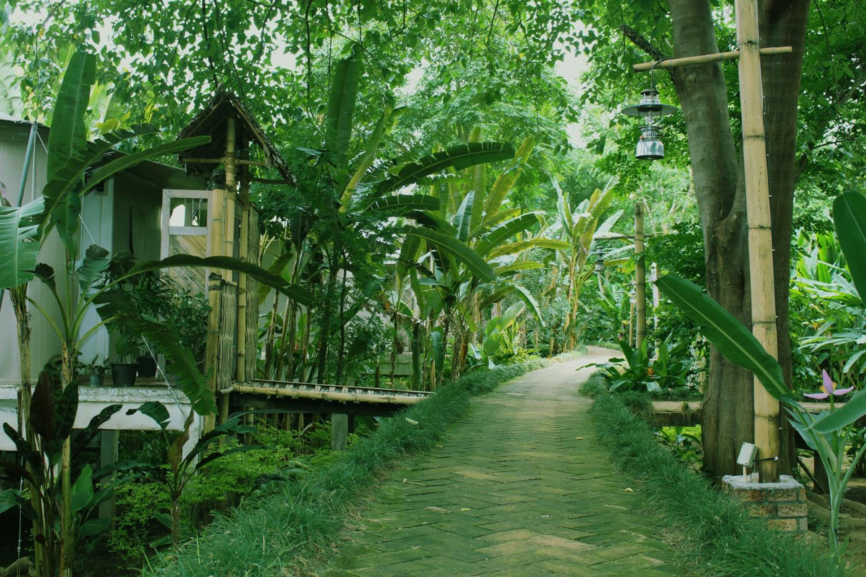 Pai Vimaan Resort