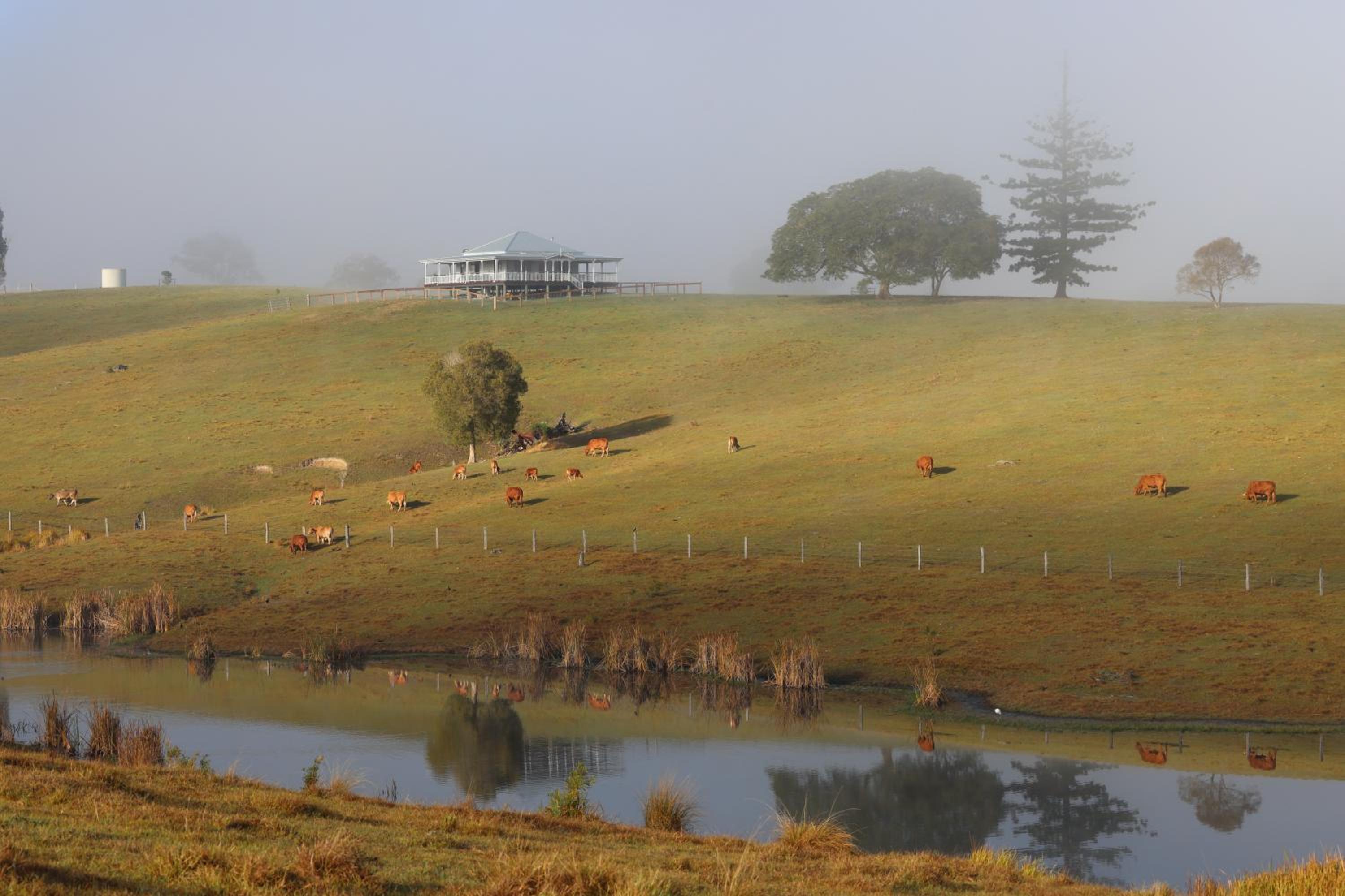 Cookes Road Cottage at Conondale