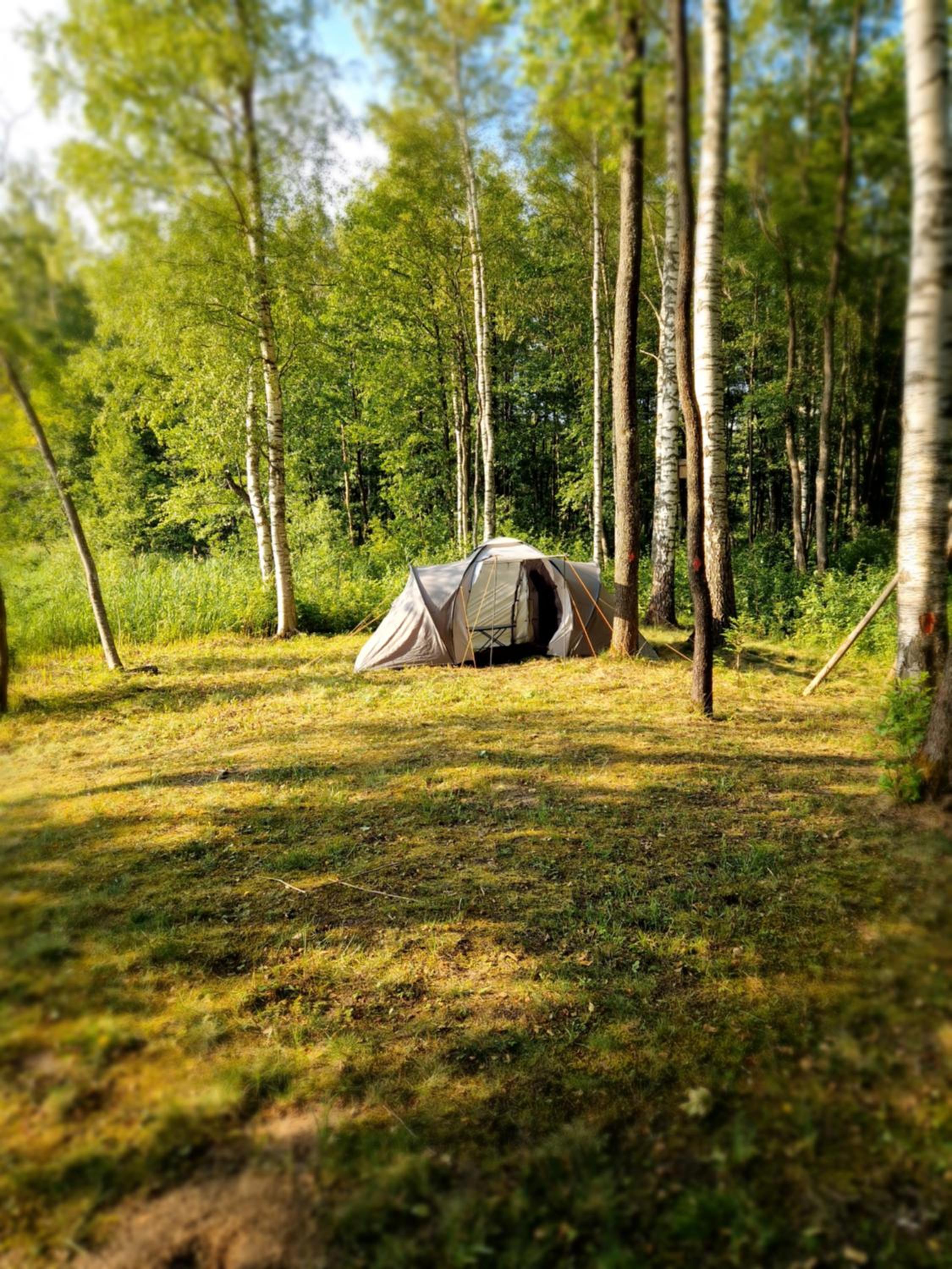 Mini saunahouse