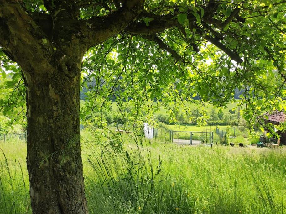 romantische Ferienwohnung im Vogelsbergkreis