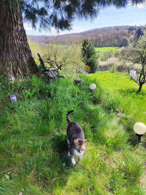 romantische Ferienwohnung im Vogelsbergkreis