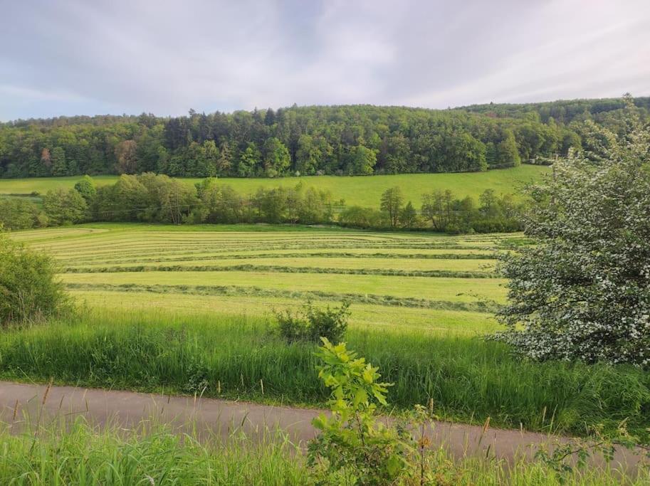 romantische Ferienwohnung im Vogelsbergkreis