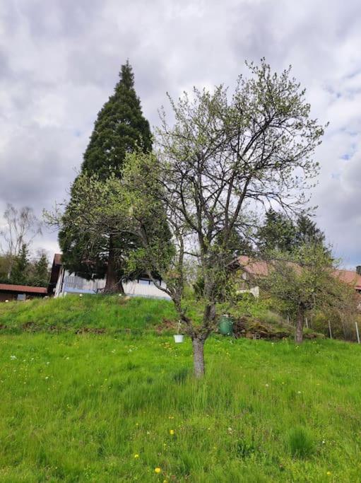 romantische Ferienwohnung im Vogelsbergkreis