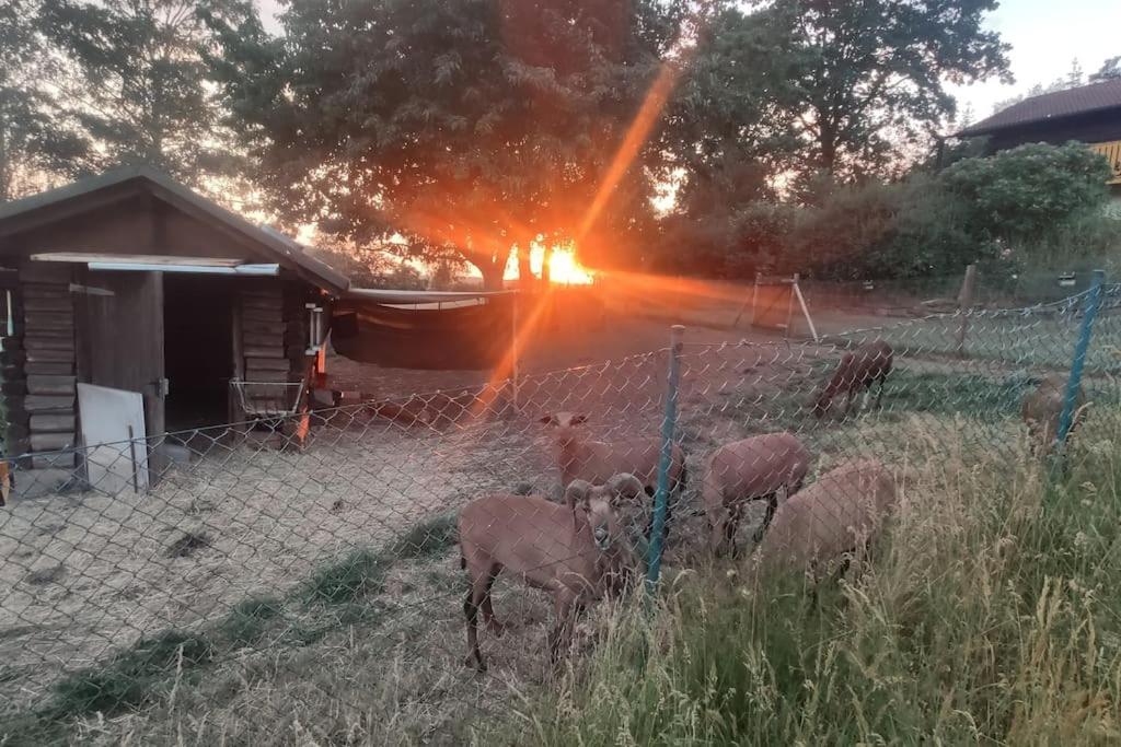 romantische Ferienwohnung im Vogelsbergkreis