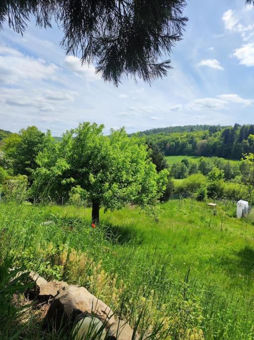 romantische Ferienwohnung im Vogelsbergkreis