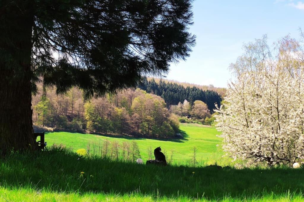 romantische Ferienwohnung im Vogelsbergkreis
