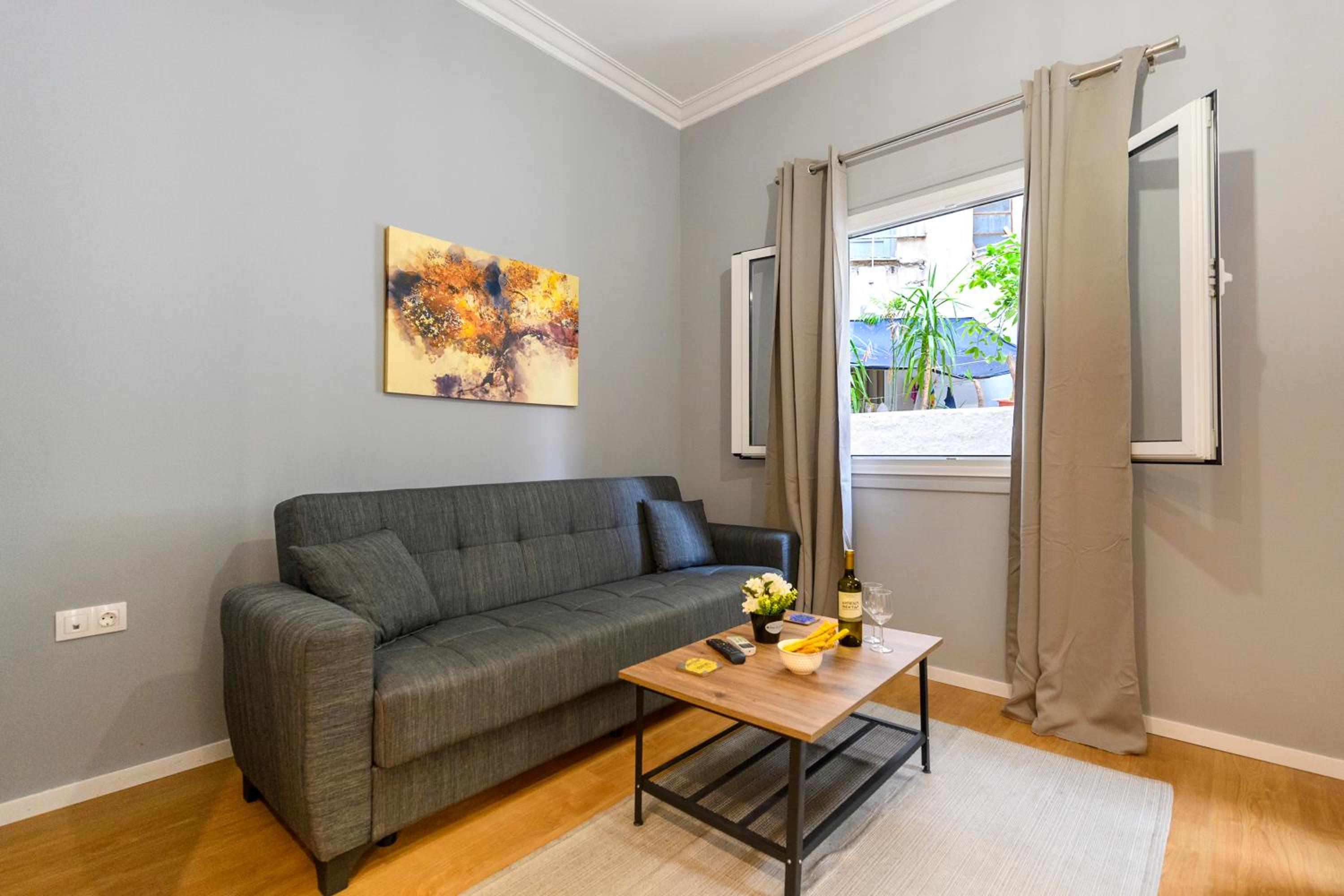 Athenian center apartments