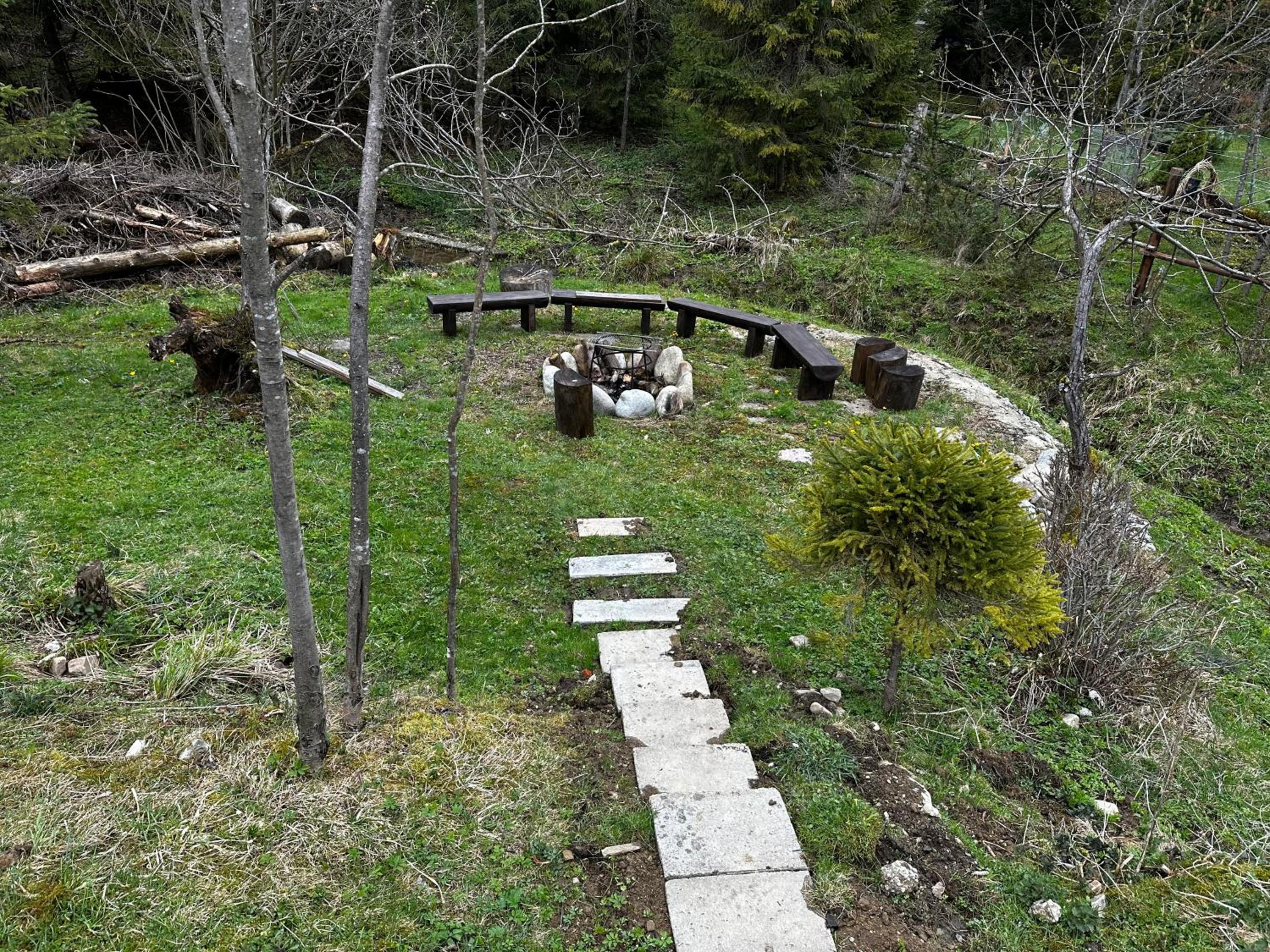 Photo 7