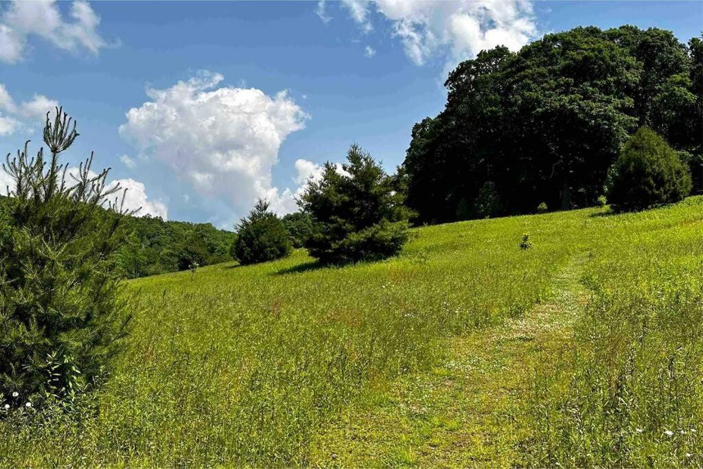 Moss Haven Cabin - Peaceful Blowing Rock Getaway view 3