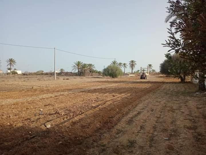 Bungalow Djerbien