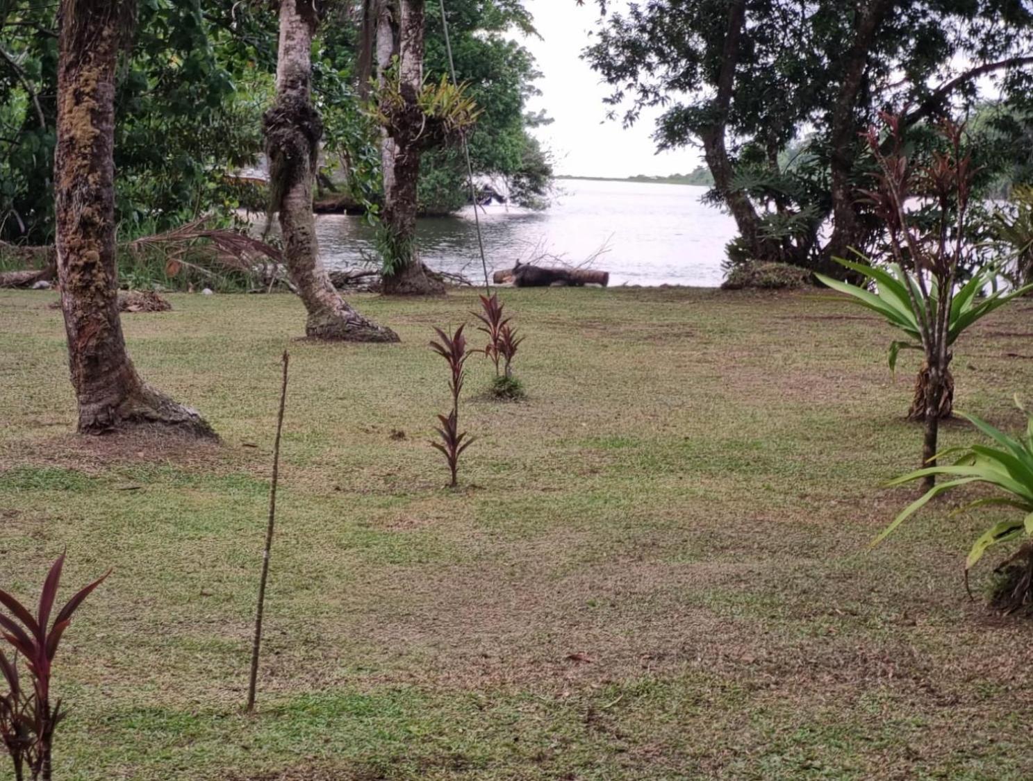 Cabinas Tortuguero Sports Fishing