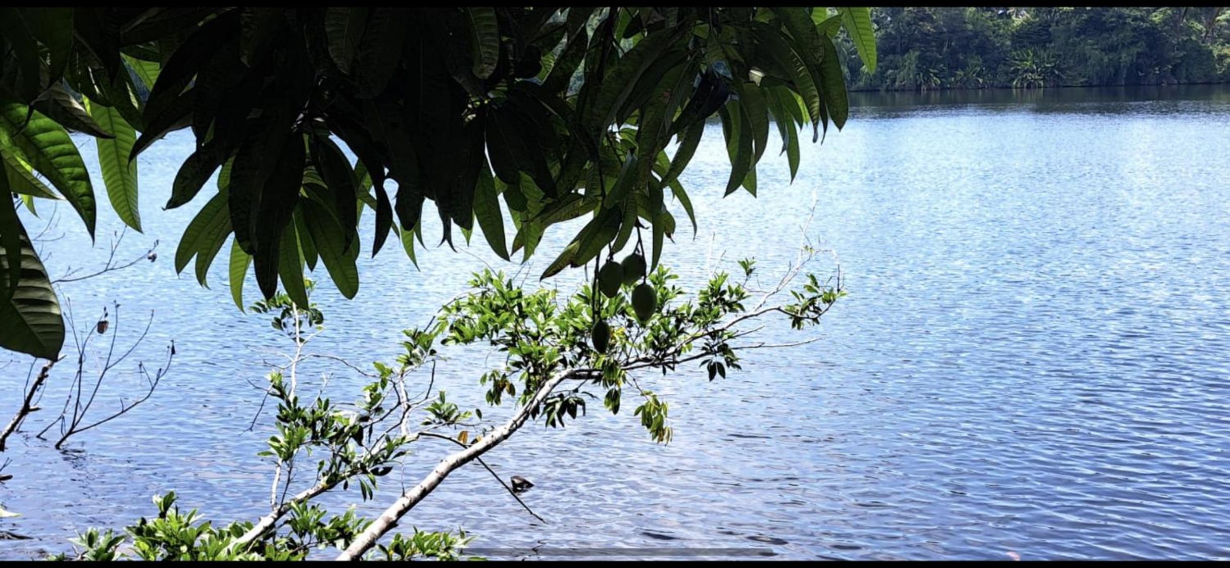 Cabinas Tortuguero Sports Fishing