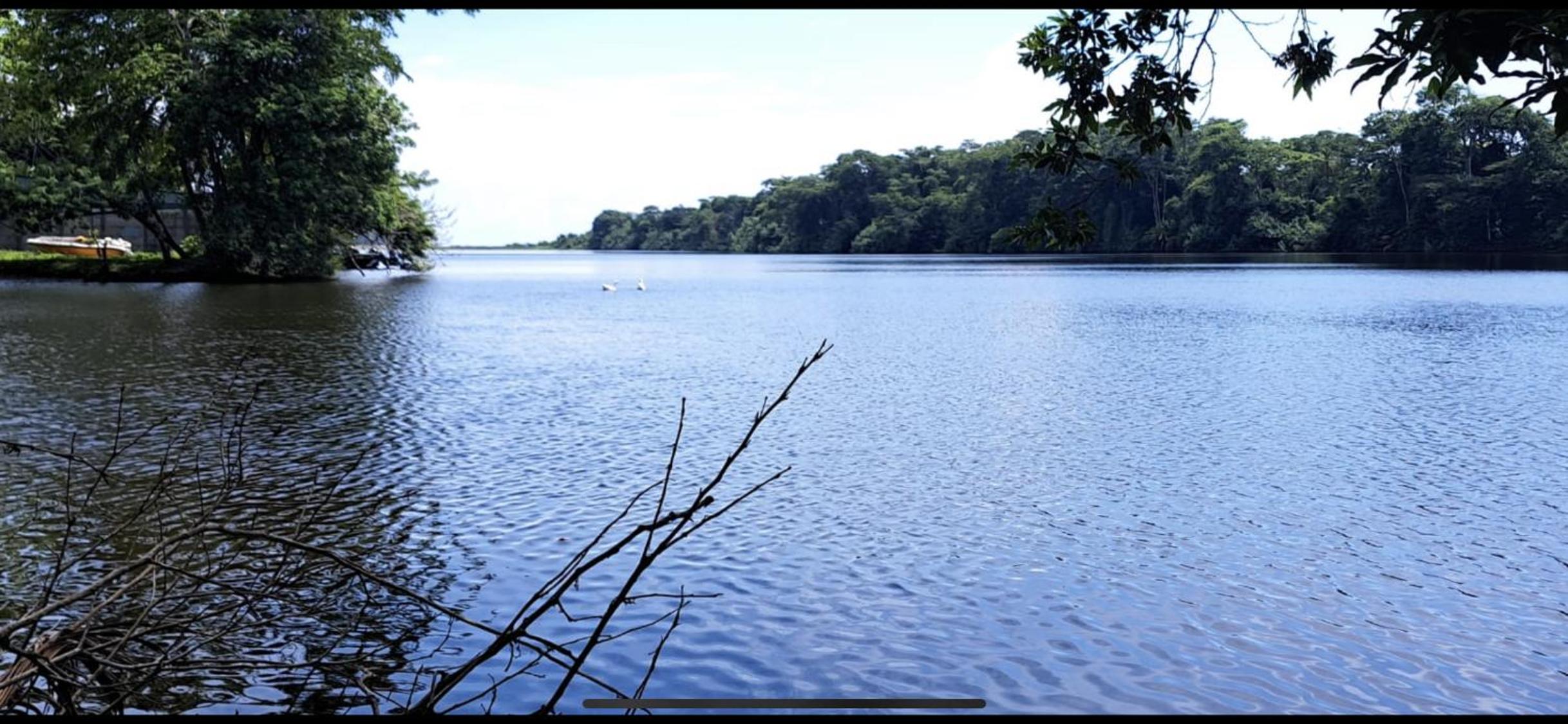 Cabinas Tortuguero Sports Fishing