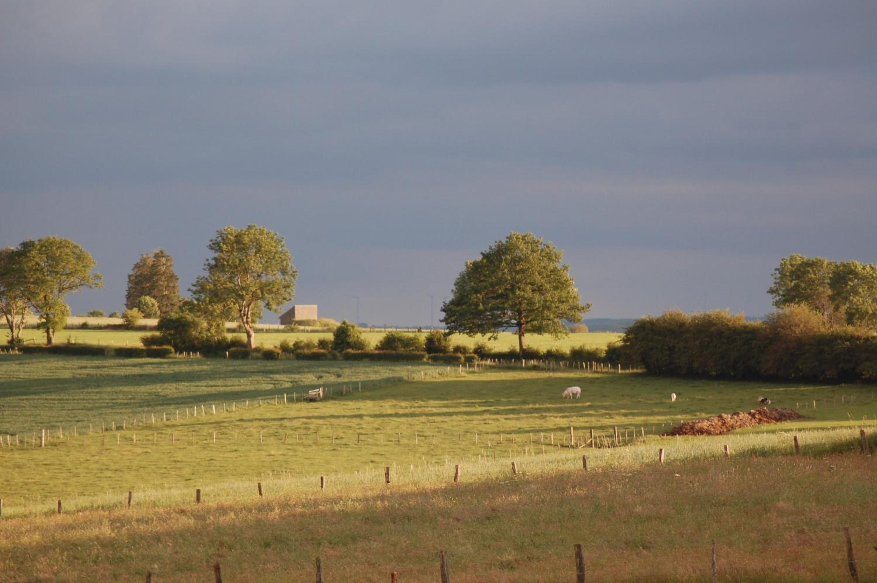 Le Buisson B&B