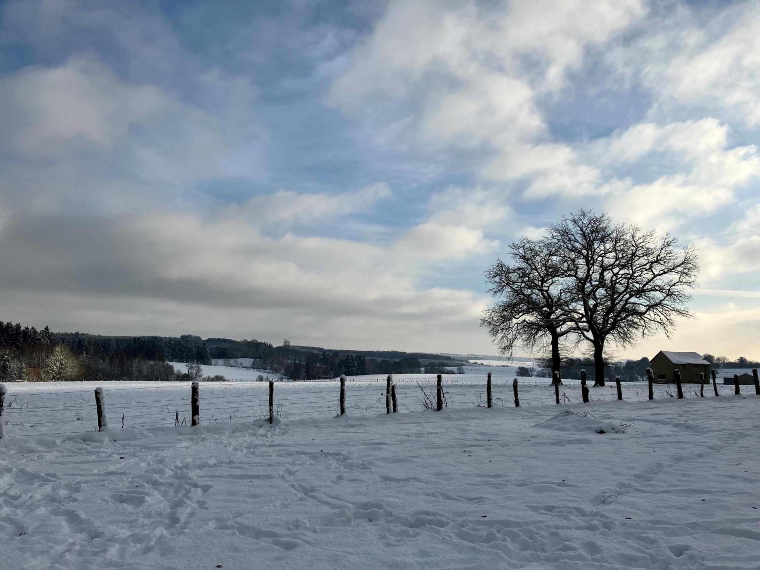 Le Buisson B&B