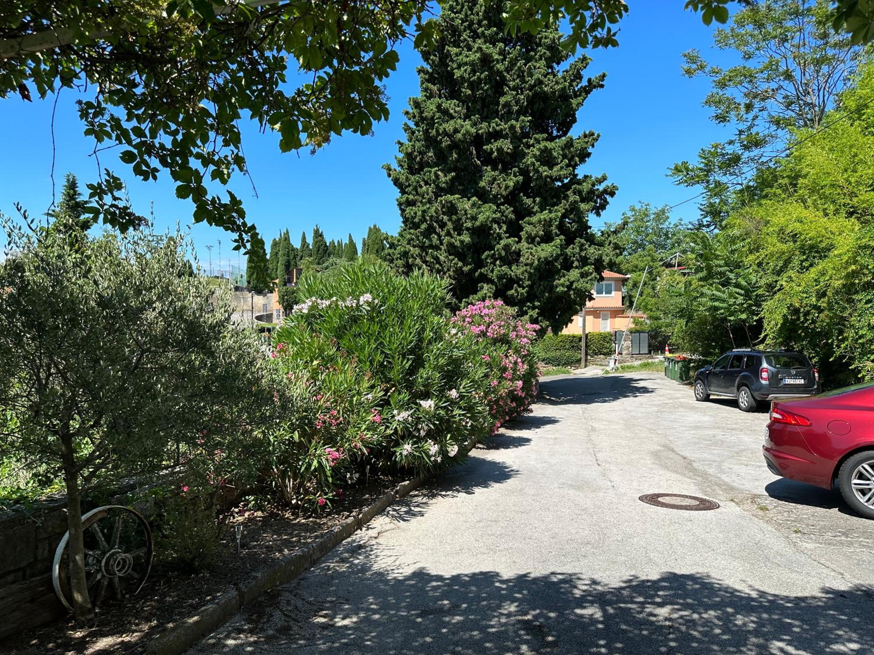 parking