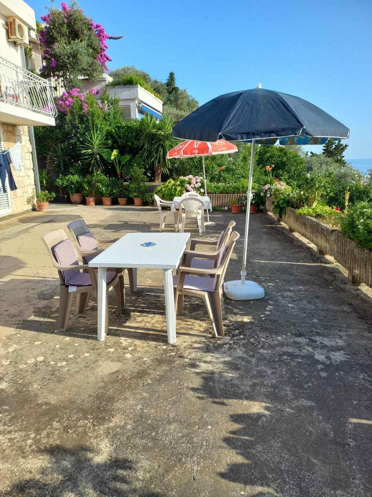 Apartments Andjus