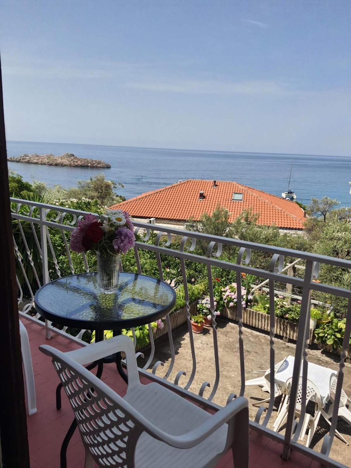 Apartments Andjus