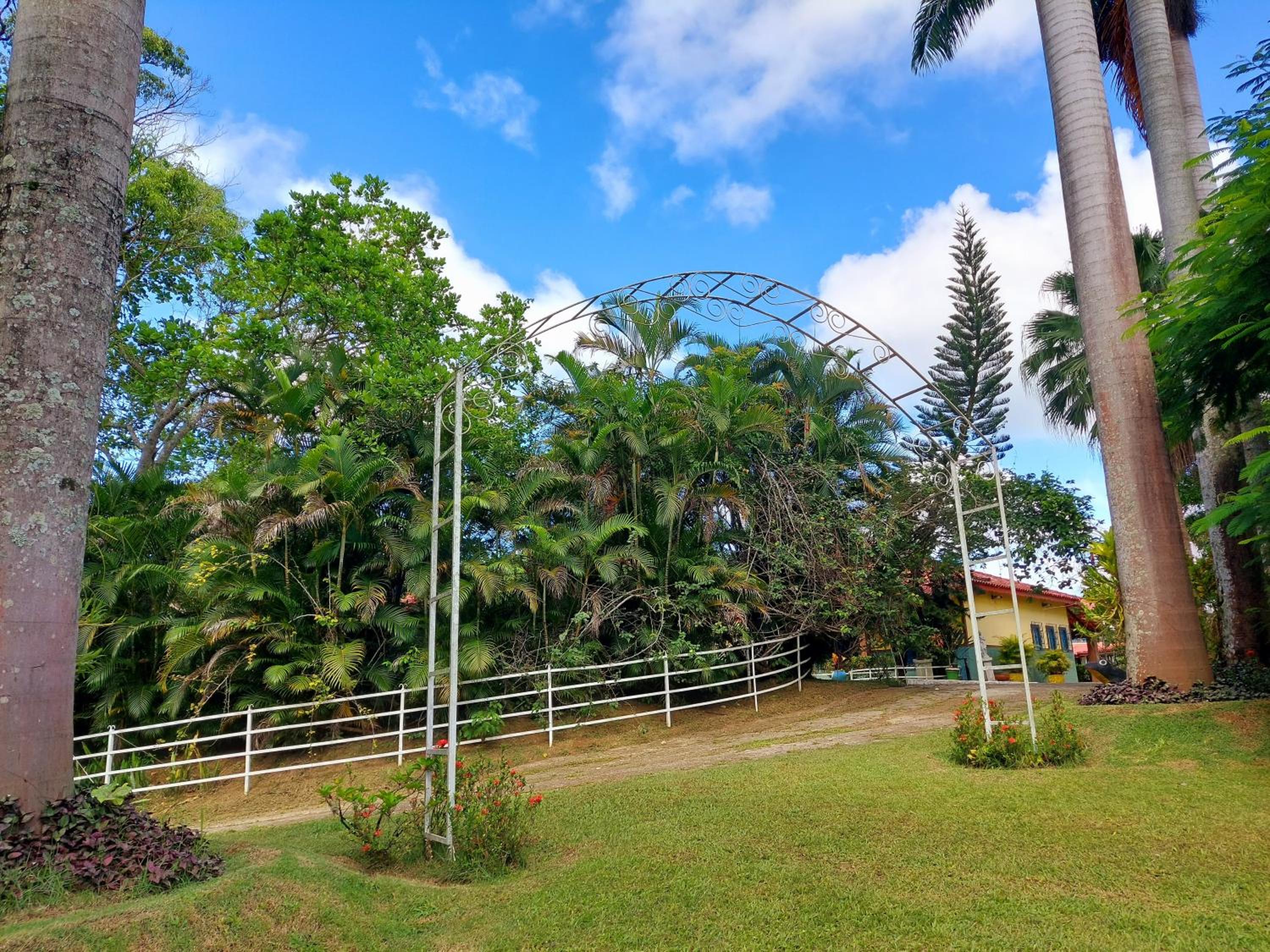 ESTÂNCIA HN