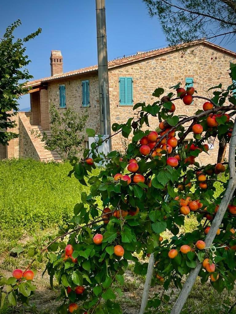 Podere Stabbiatelli