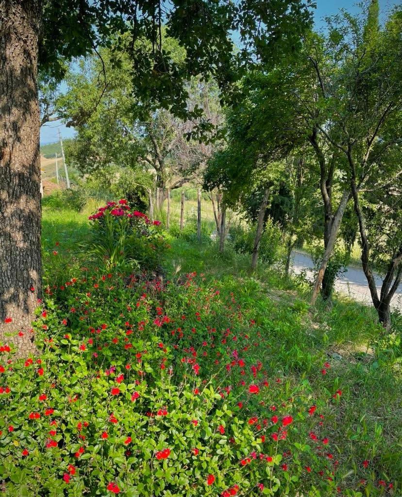 Podere Stabbiatelli