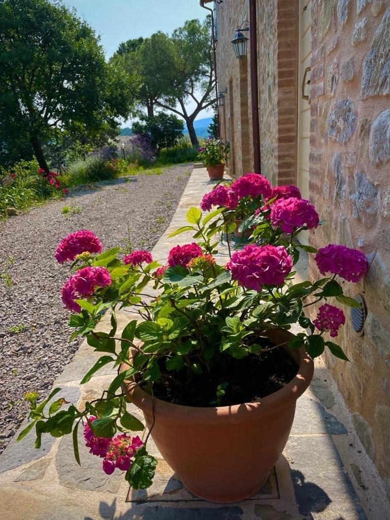 Podere Stabbiatelli