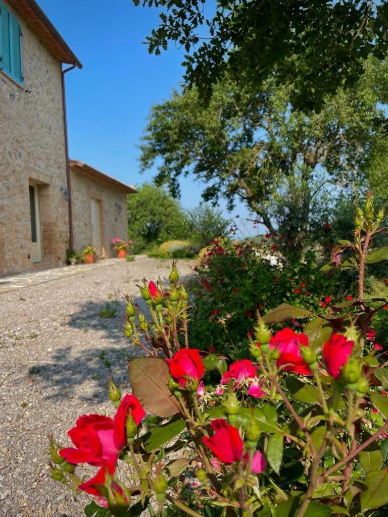 Podere Stabbiatelli