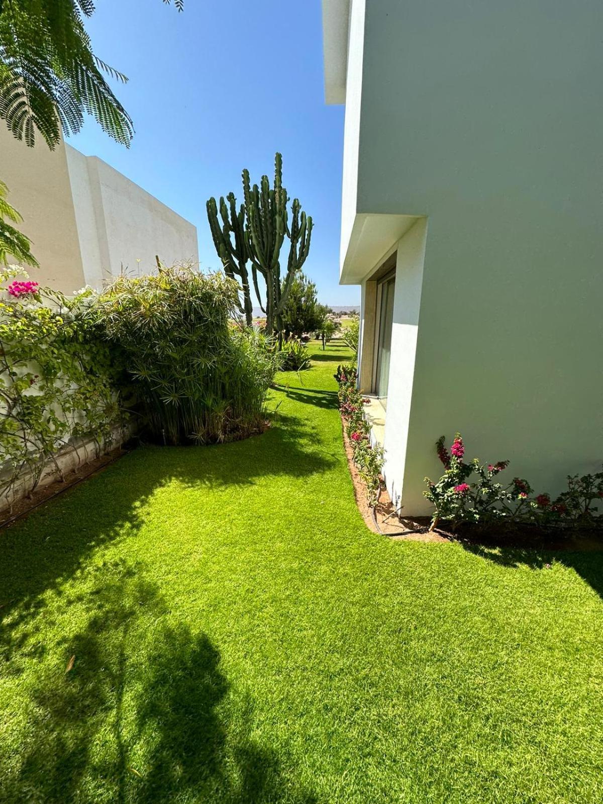 Photo 20