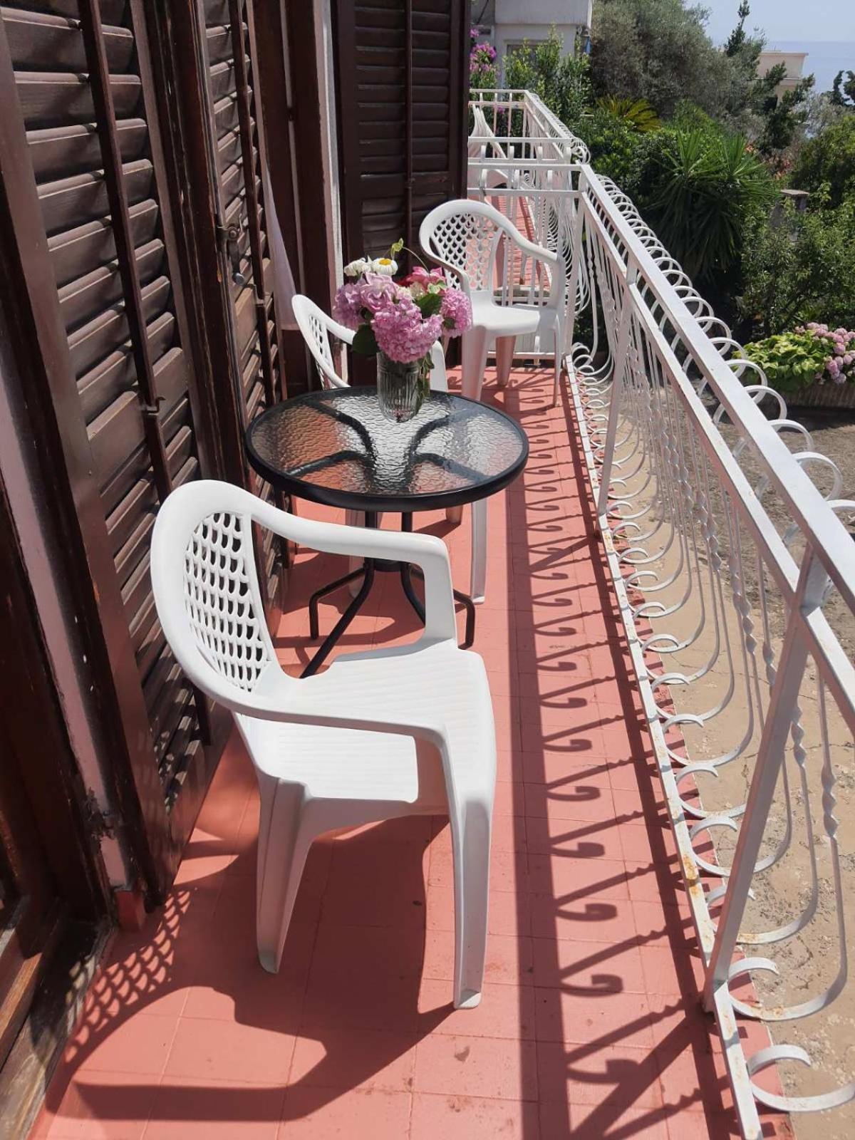 Apartments Andjus