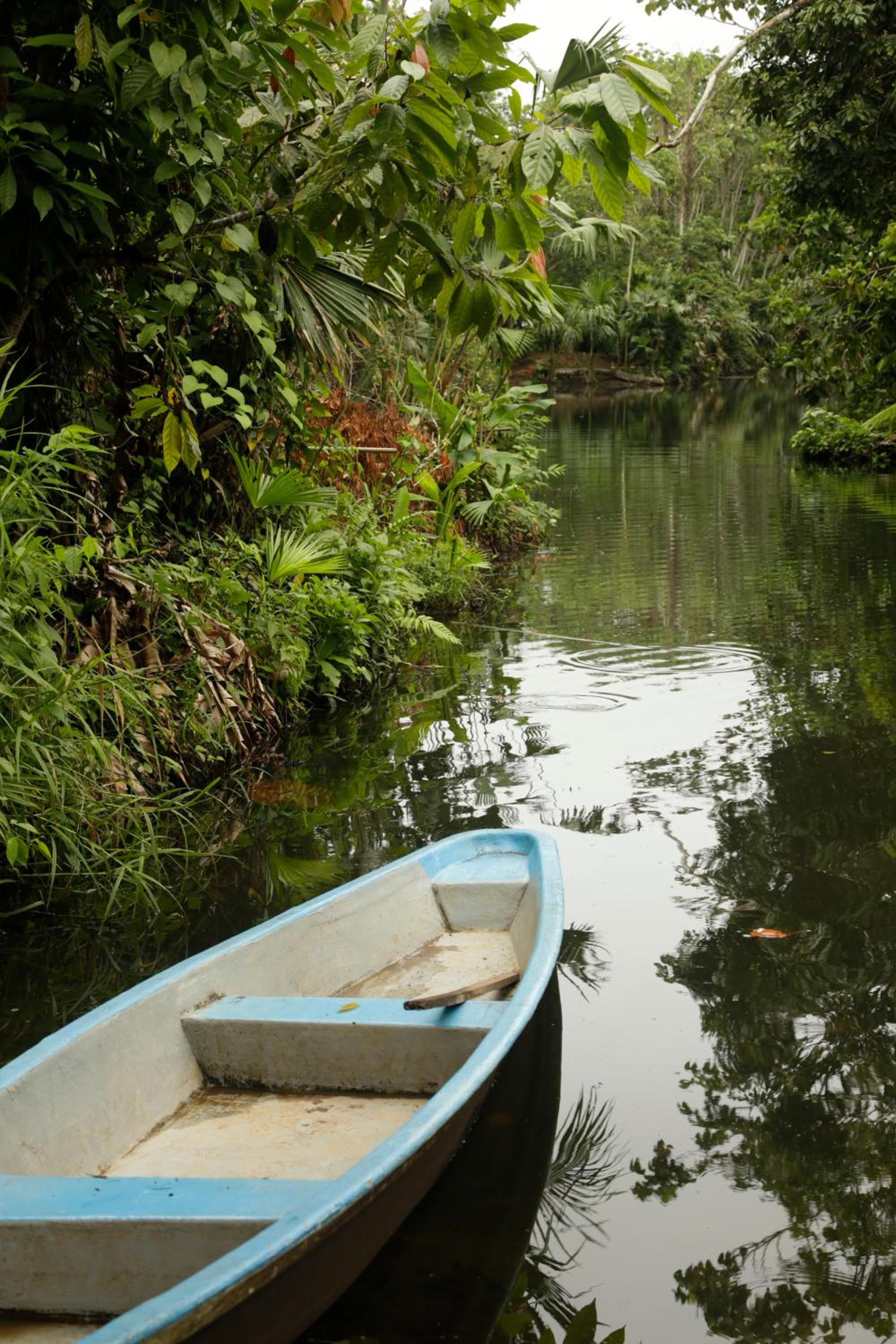 Misahualli Amazon Lodge
