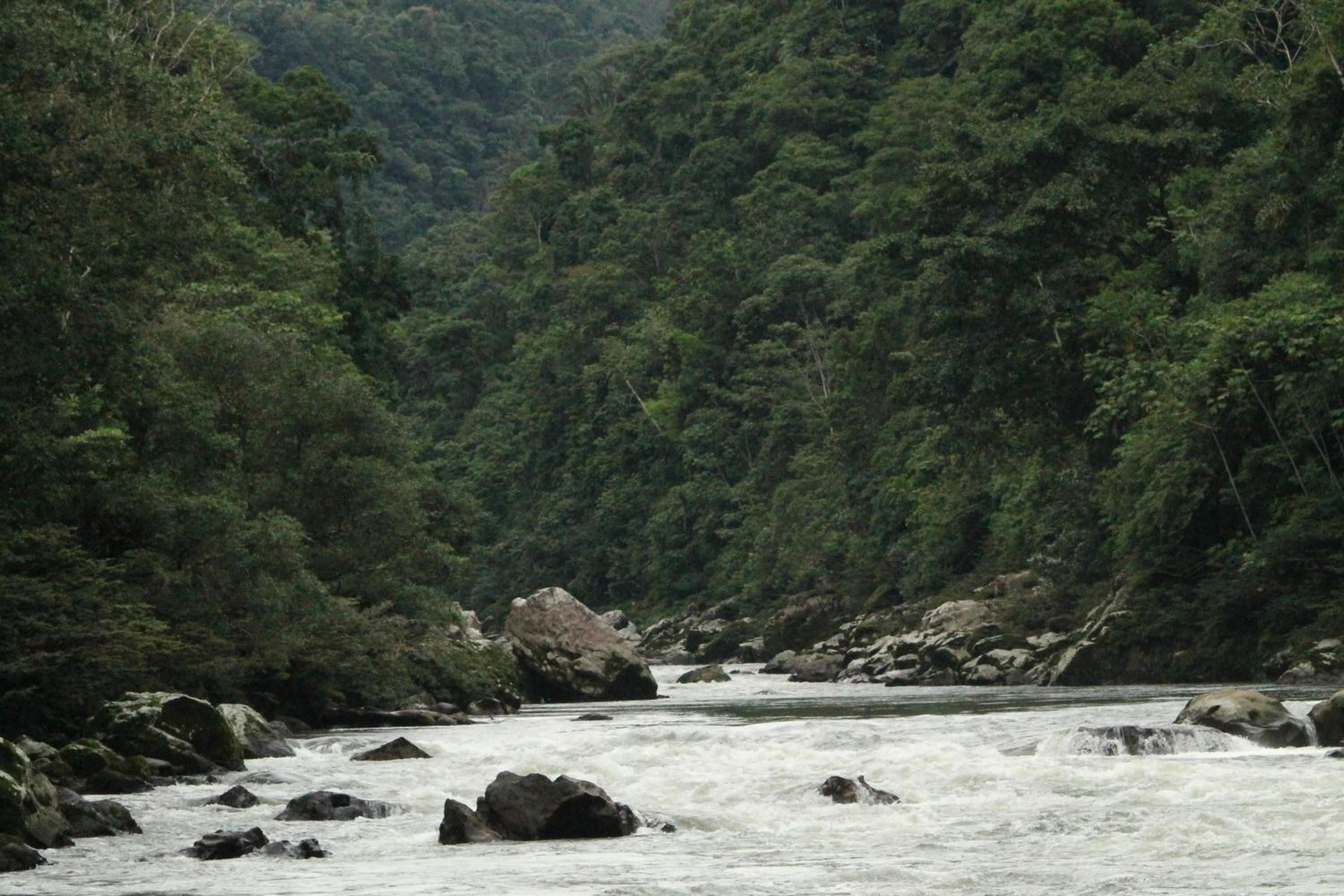 Misahualli Amazon Lodge