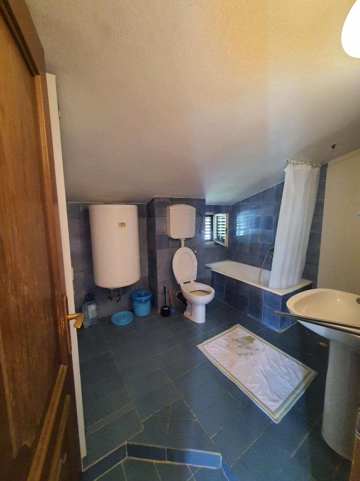 Apartments Andjus