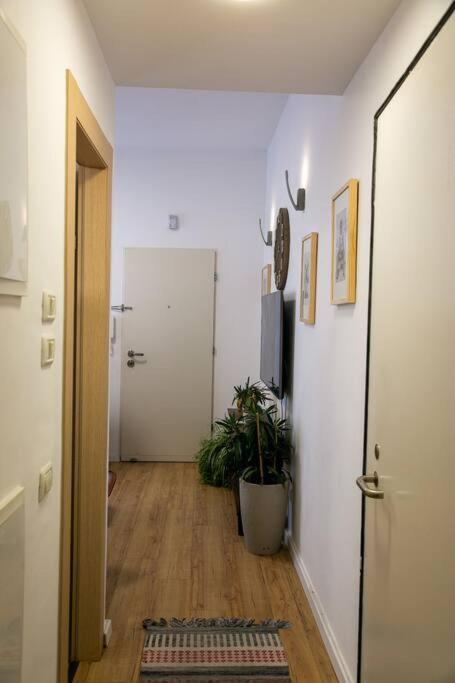 Amazing Dizengoff Square Home