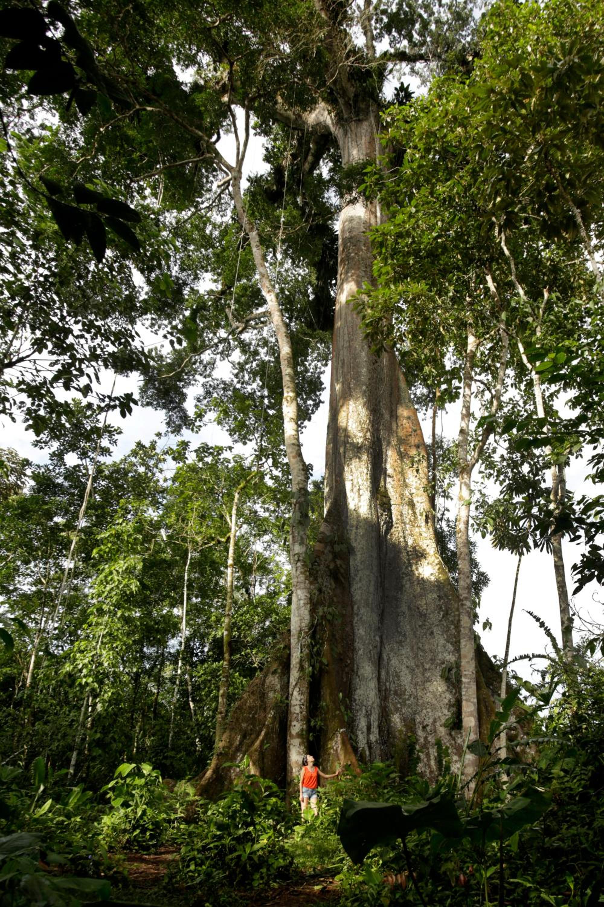 Misahualli Amazon Lodge