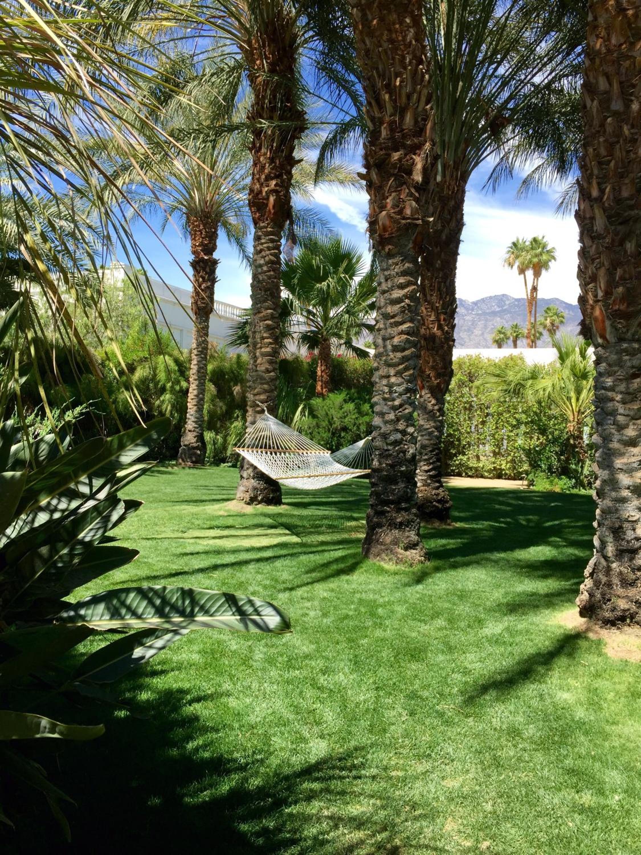 Parker Palm Springs