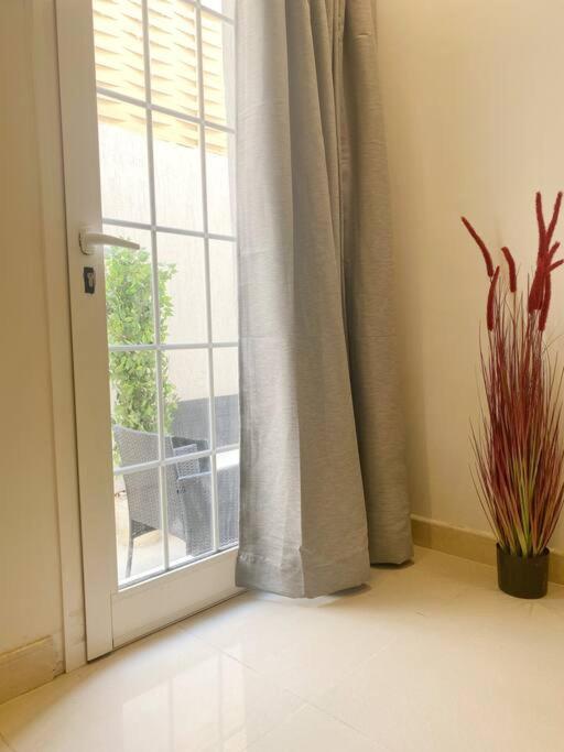 Luxury Apartment 1