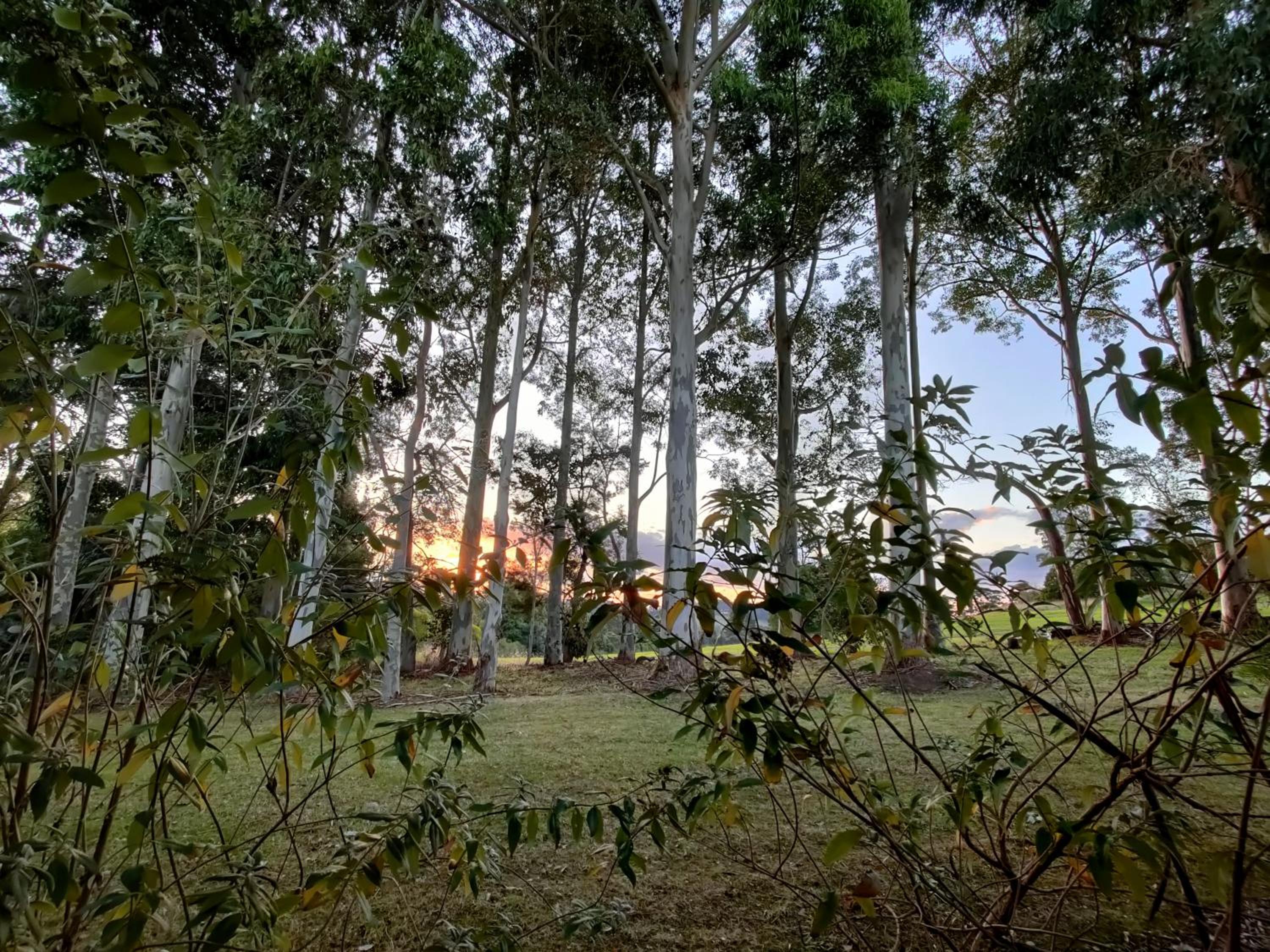 Karri Mia Chalets and Studios