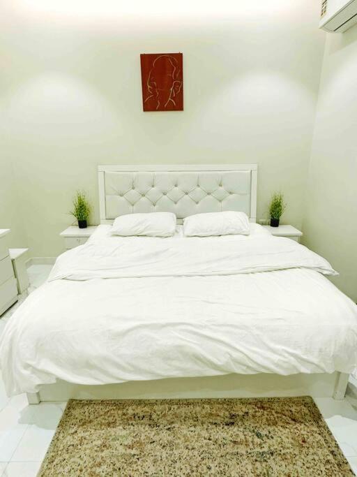 Luxury Apartment 2B