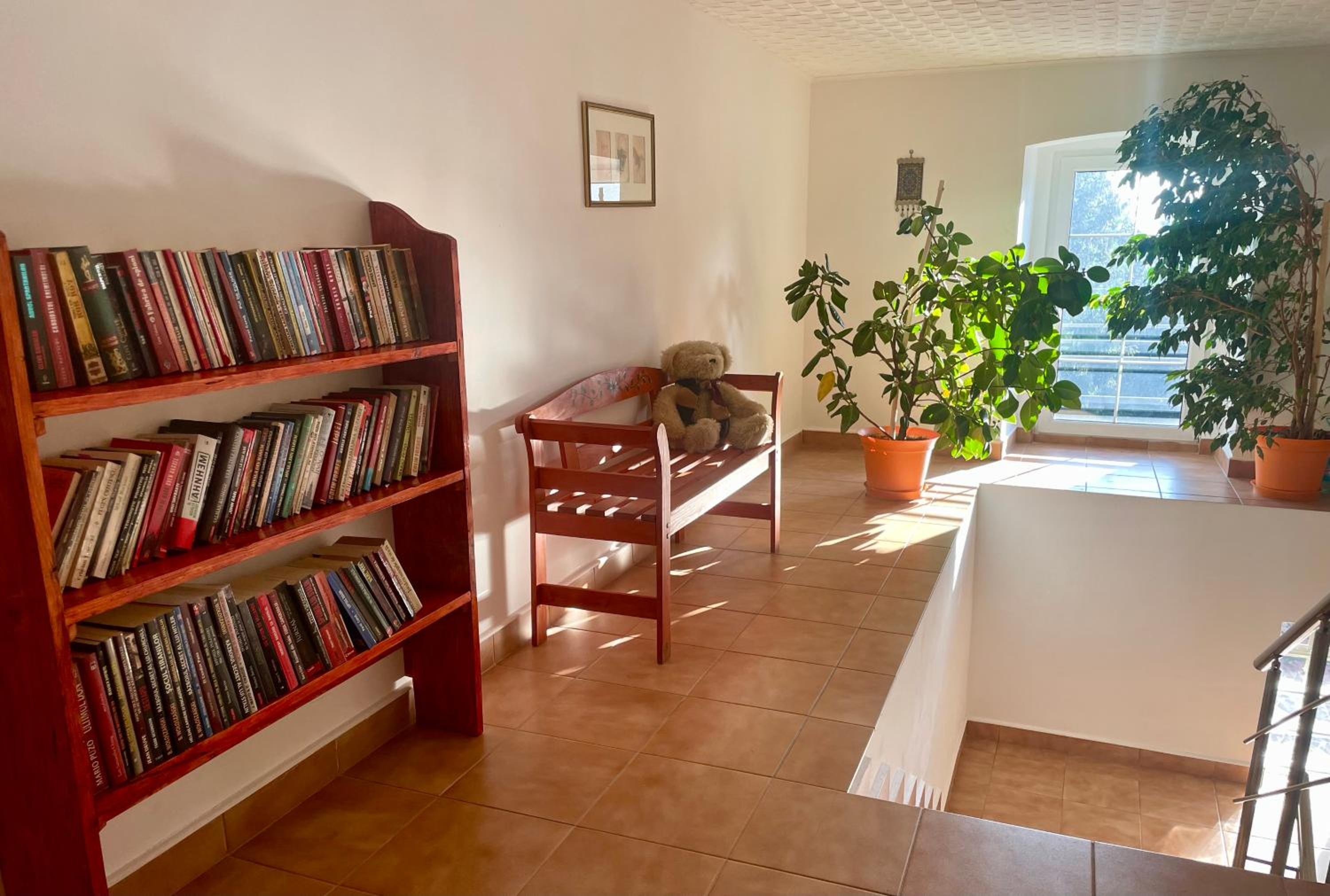 Photo 8