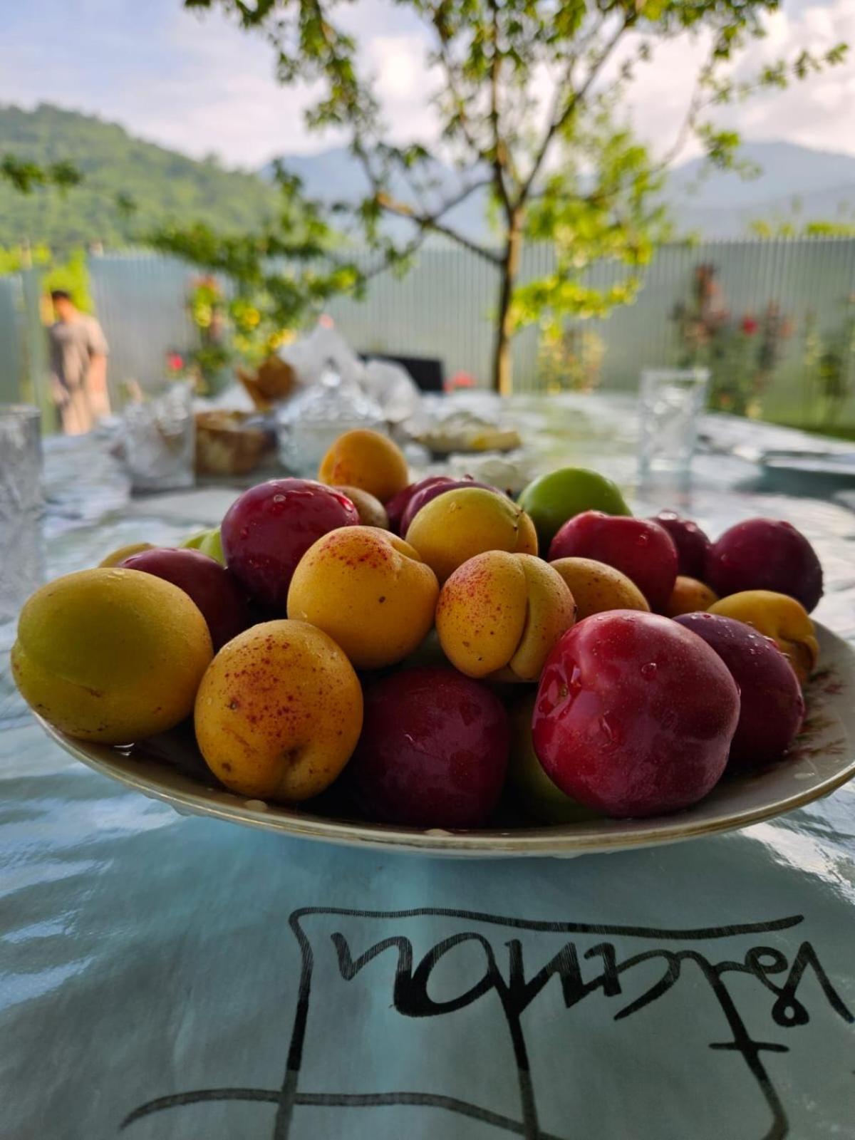 House in the village - APPLE PARADISE