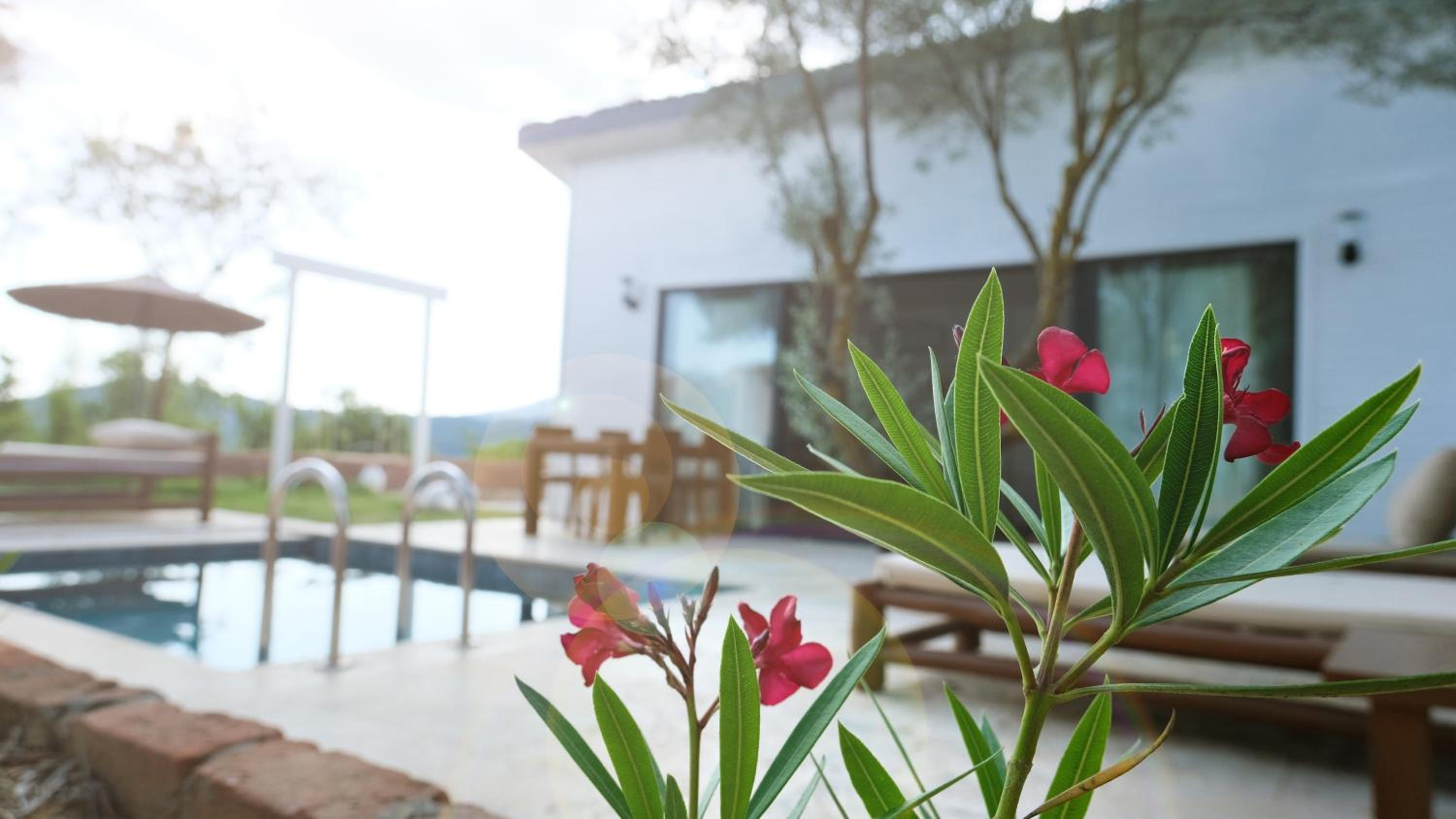 Zai Jardin