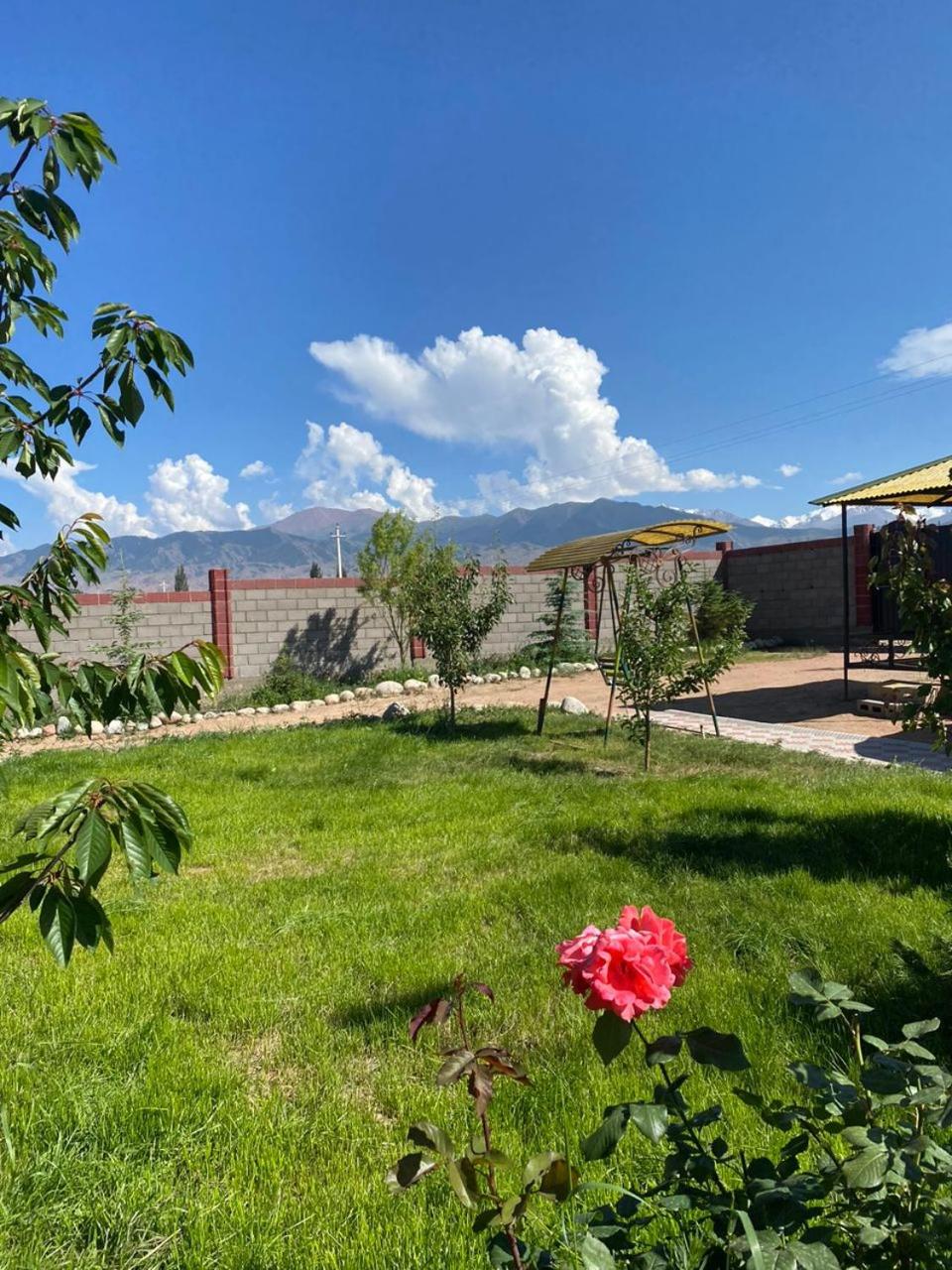 Guest house and yurt camp Svetlana