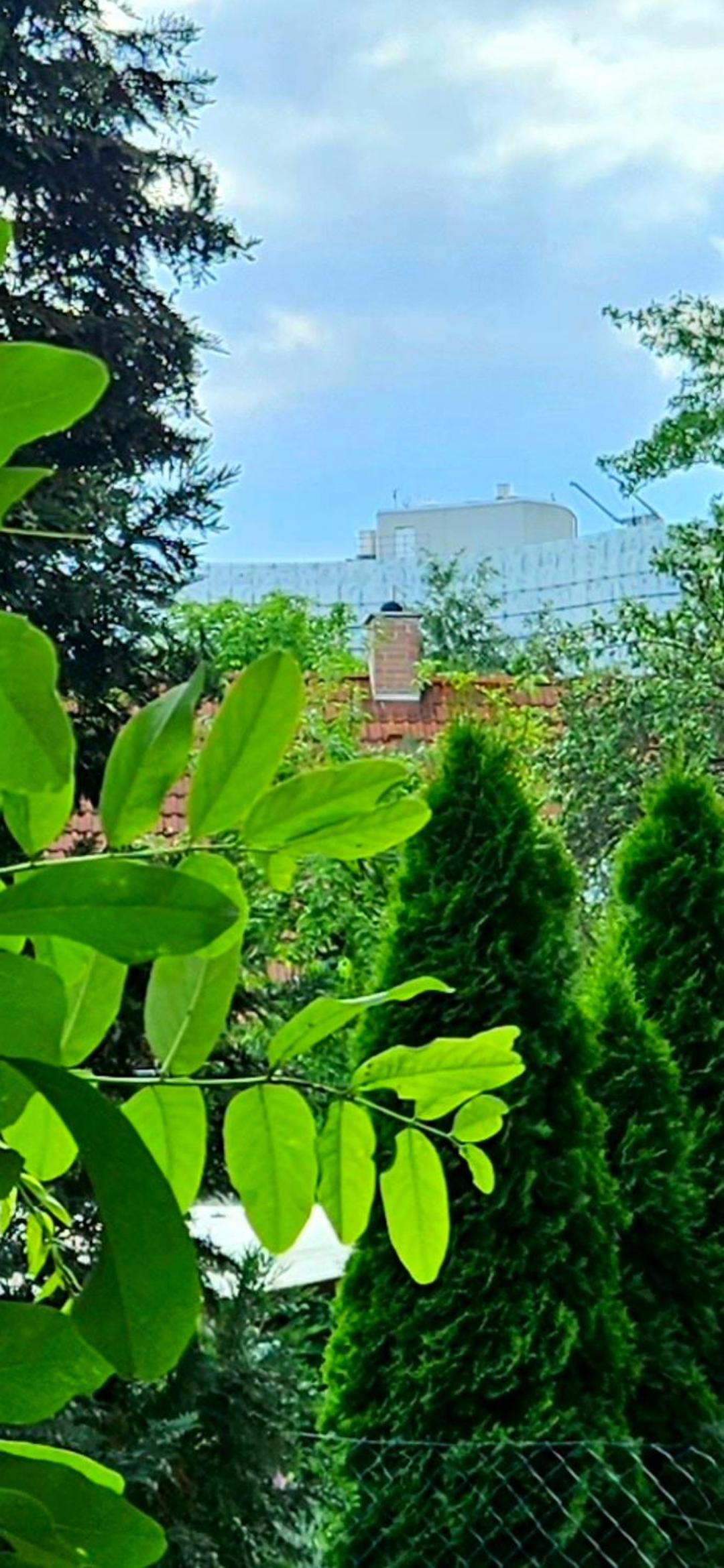 Johnis FeWo, Nähe Stadtzentrum - Uni in sehr ruhiger Lage mit Terrasse und eigenem Parkplatz