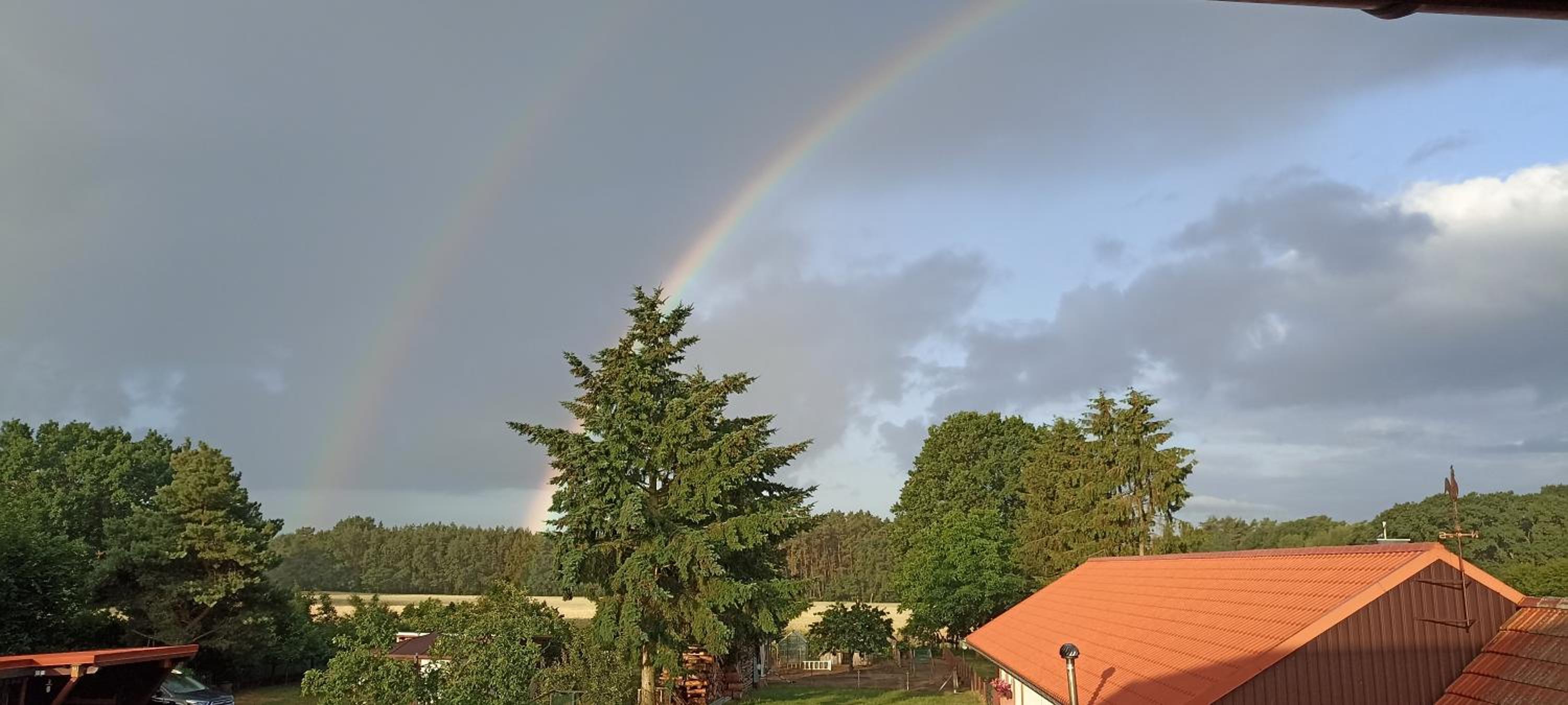 Gemütliche Wohnung am Wald