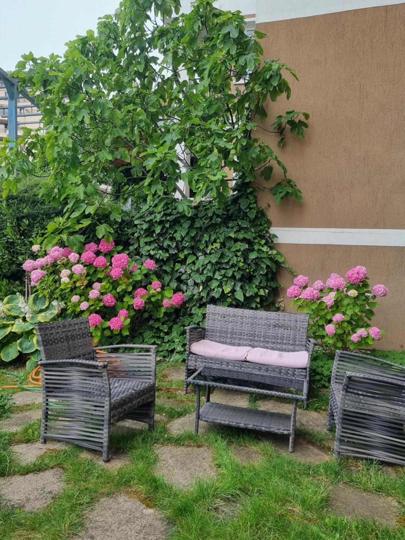Domus Extra Apartment